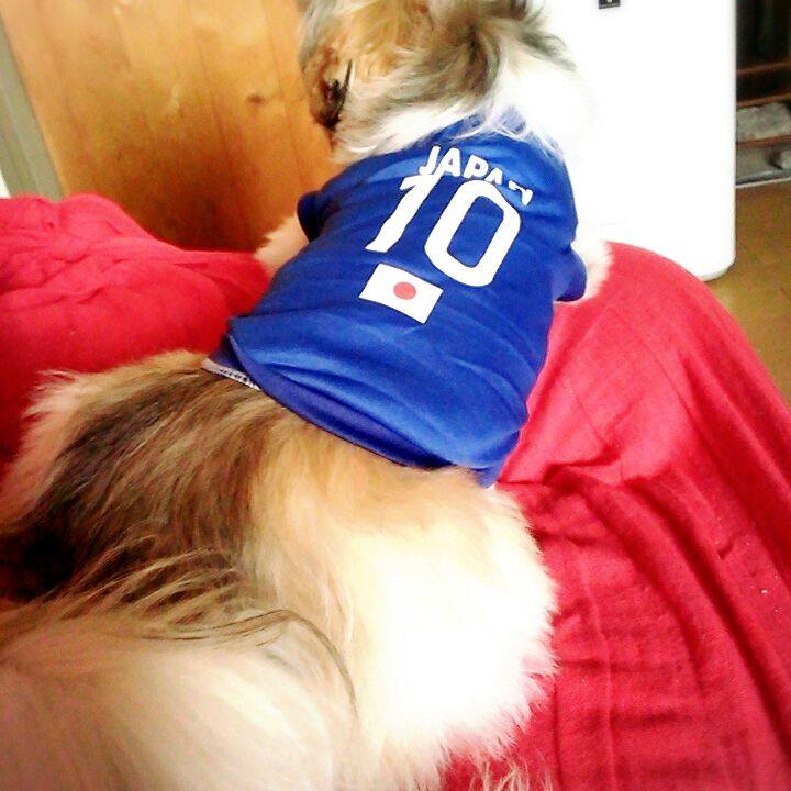 09237dfe 6838 4c73 96b6 870aa4ef3c2f