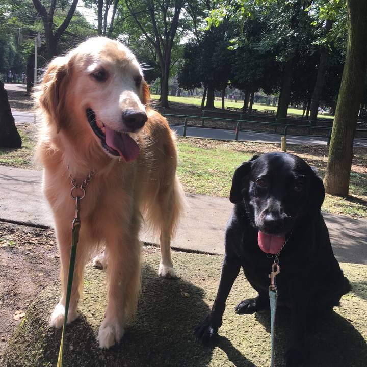 0923c52a 6caa 4afc 8fcd 735c08ae7fc0