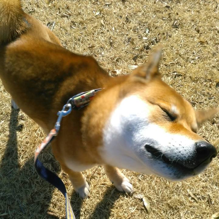 0923cc20 fde6 435b b427 c2edf5eeb871