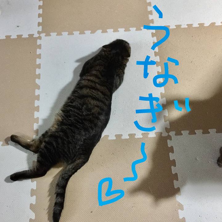 092445f2 0265 4406 aedd d6907ced95a6