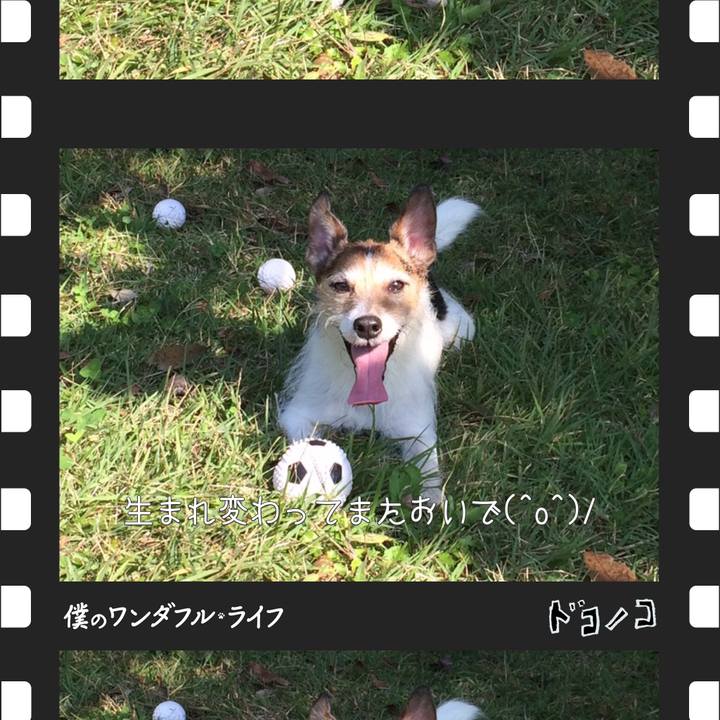 0924748e 71b2 41d8 9301 c8f18d98a86c