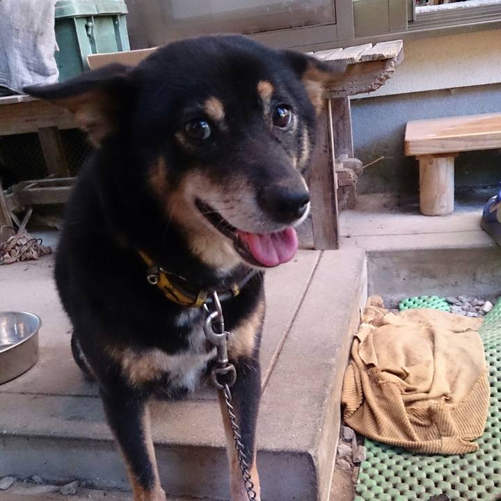 09247e28 f78c 4ed1 80c6 570a2a2c5b22