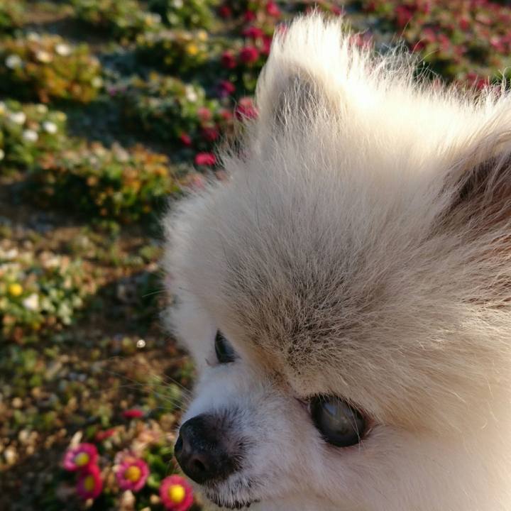 0924ef21 5304 4089 b6cf 5816e5e18026