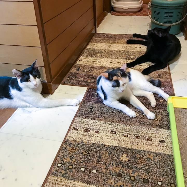 092514df 894b 45d6 accf db6098e03b9b