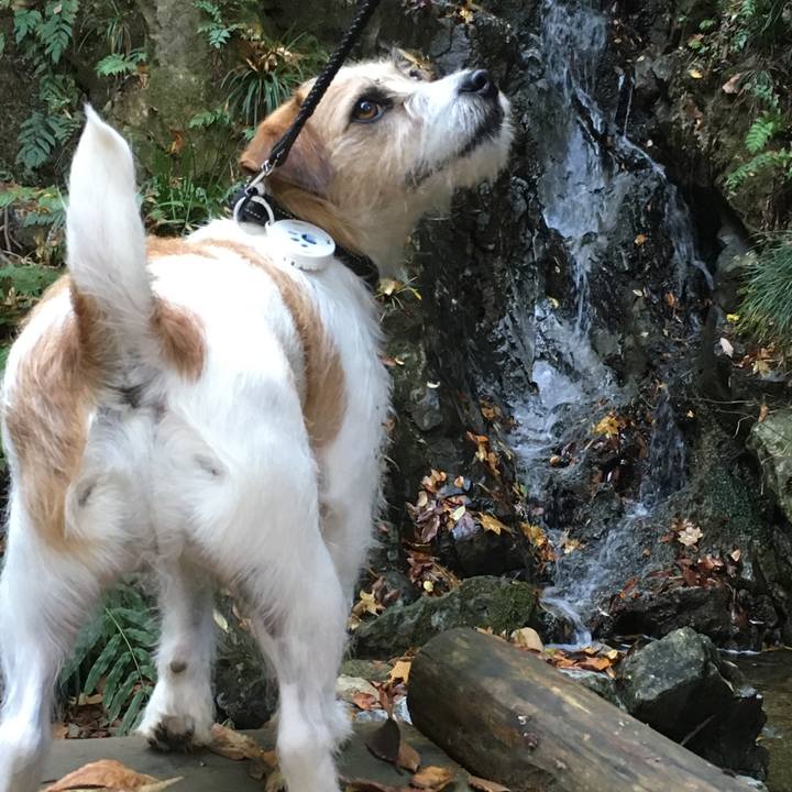 0925167b f1fc 44f4 9a01 708380851287