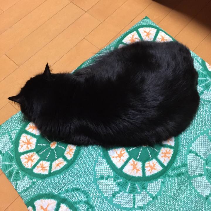 092523d1 6ea6 45a8 ab39 36972e5d820c