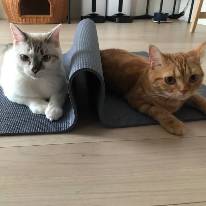 09252f22 cc69 47e9 a507 06ae294c4fa2