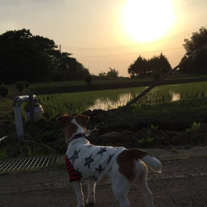 09258a0f 7275 4c35 a93b e727a492ecc6