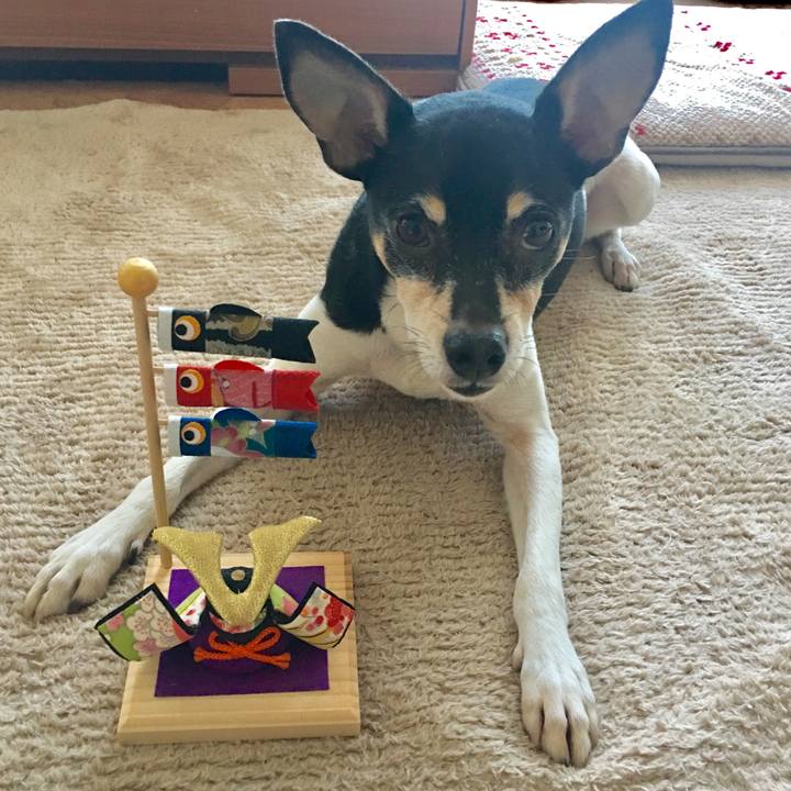 0925f45d 0673 466a 8b46 37f2c60009d9