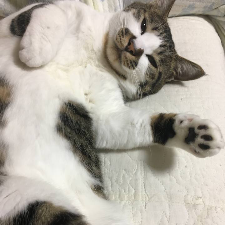 09269f4c 06b2 460e 8e3e 3b0eea819d04