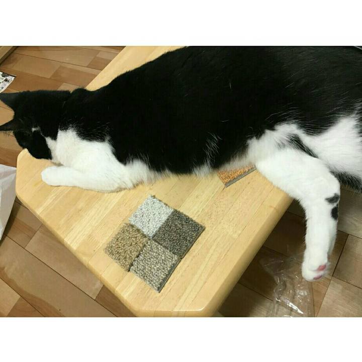 0926a529 baab 436f 8912 8d77b66adeaa