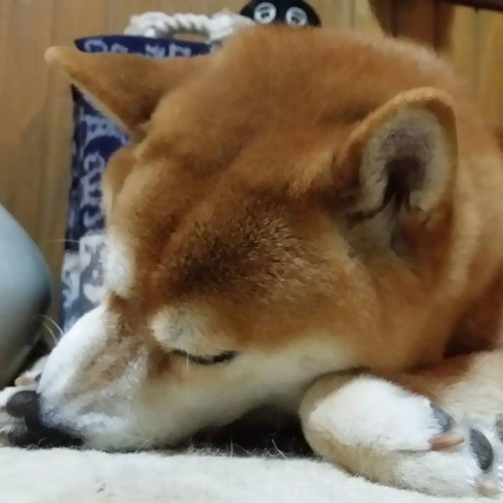 0927297a 2c49 40f0 934f d882083a6ba8