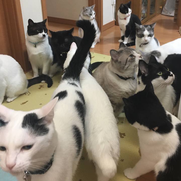 0927b3d5 648e 4fd1 af89 79eeeca470ad