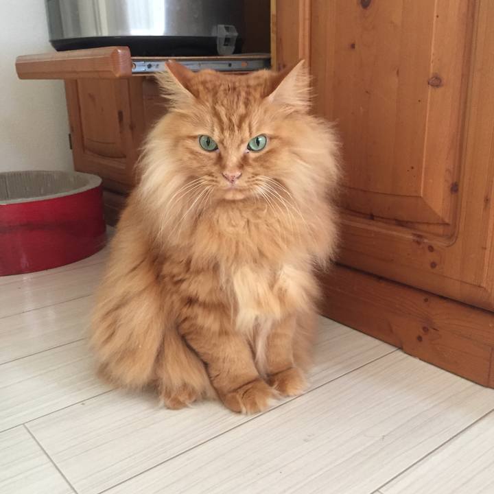 09281d19 4ce4 4c07 98fa 2a144edf3a6d