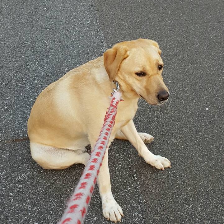 09283d06 9a26 4493 bc67 b7a3f400a354