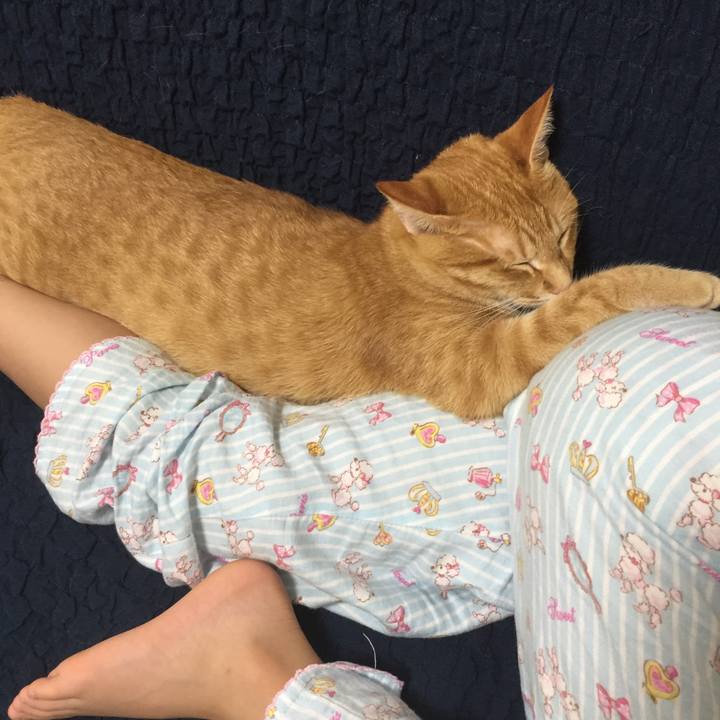 092847a8 ab80 465b 949c 4e5e5dac3d4c