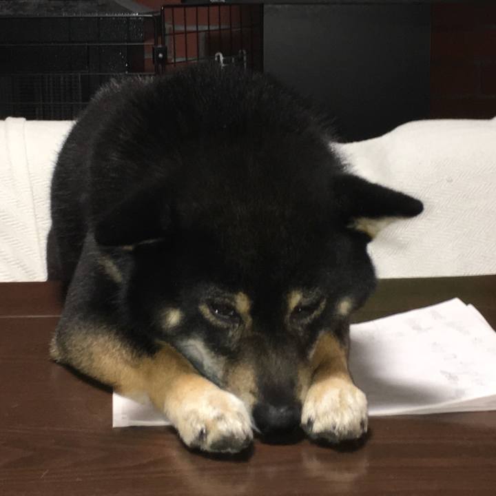 09286711 236c 4a8b b3f0 2098b25c441f