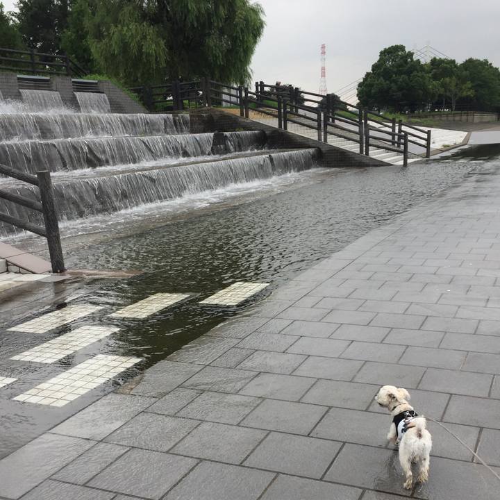 0928a93b 40b6 4e06 ba34 4d94f9530eb9