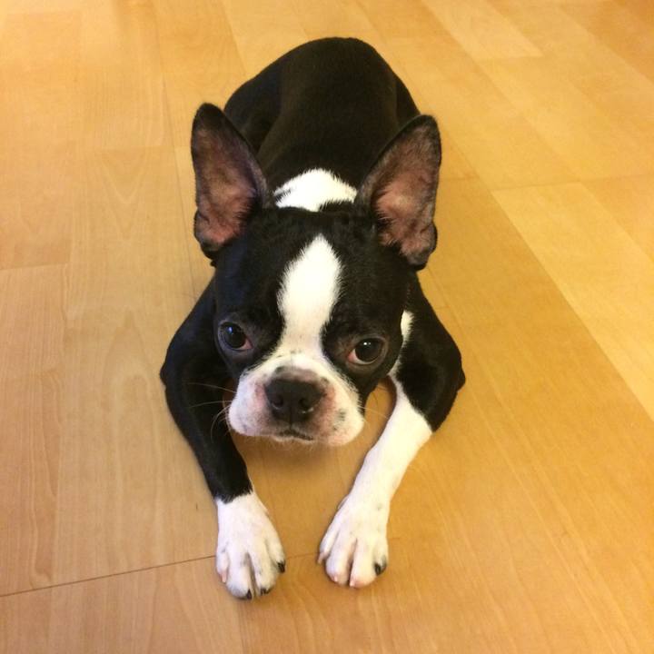 092b40a2 a05b 479b a0f5 96fbca34045b