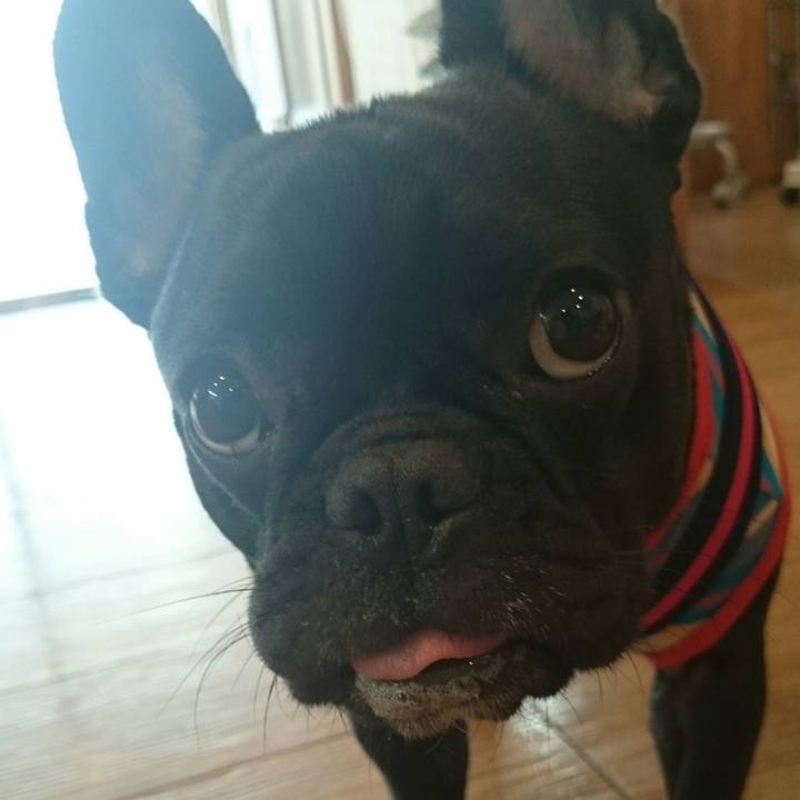 092b906c fbe2 4bc5 9bf4 aedbd438b955