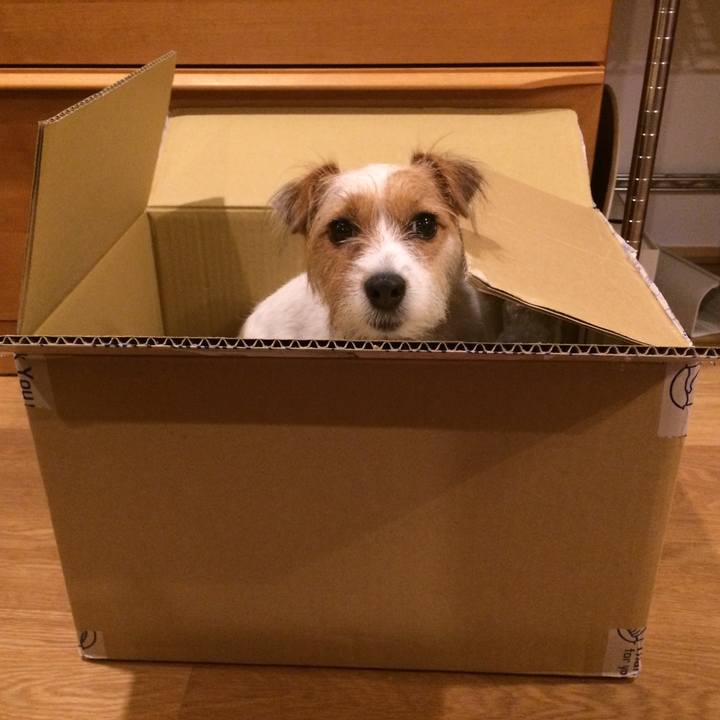 092b9a4a 0b03 41c1 929d 63b61fc403d7