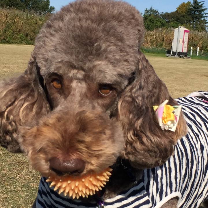 092bd033 22f9 4e6a a3c5 2ead3712cc90