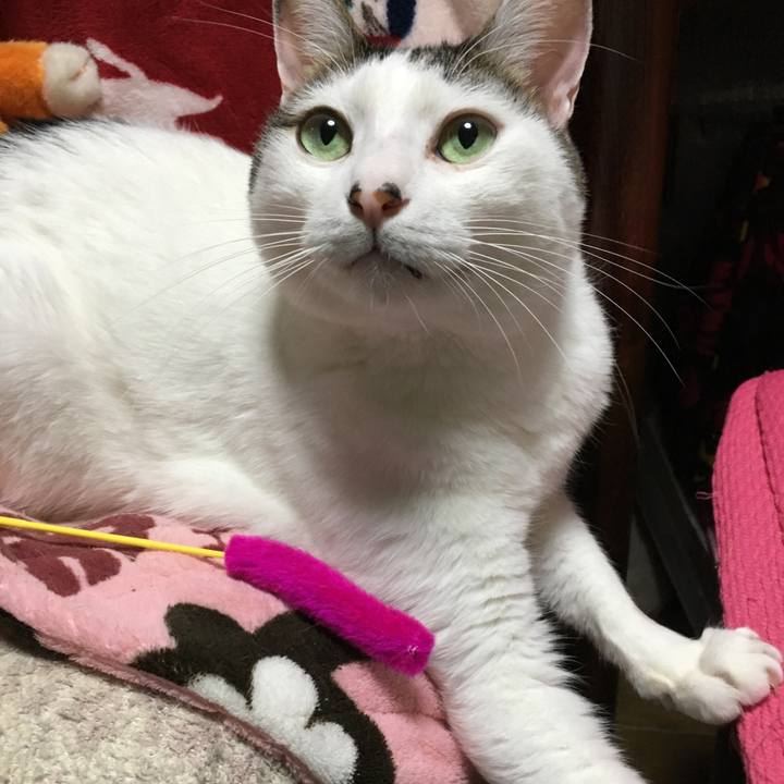 092bd55c 5417 4659 aad9 5775cfd17ddd