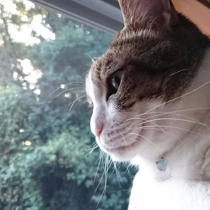 092ca6d6 fee9 487c 9a29 baf4b875c4de