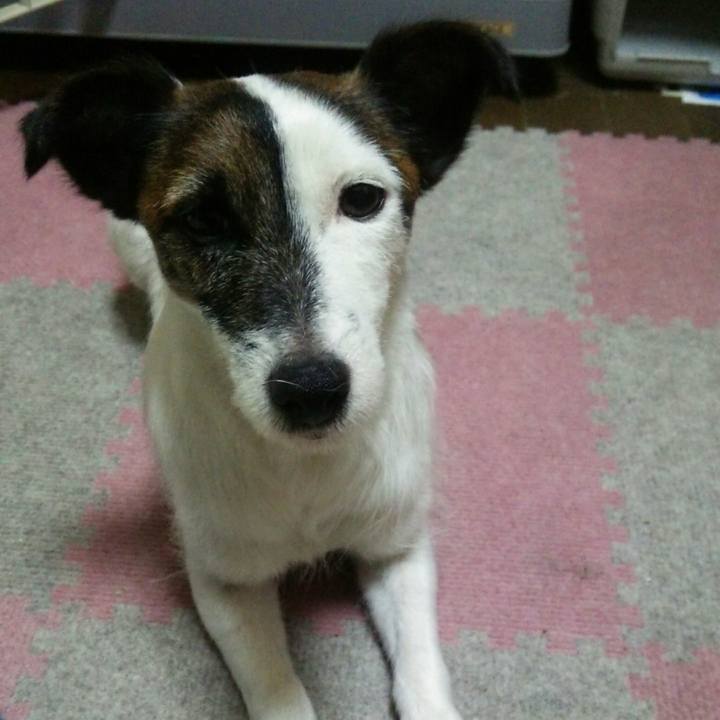 092ca9b8 01c9 41fd 99d2 0af6118f55af