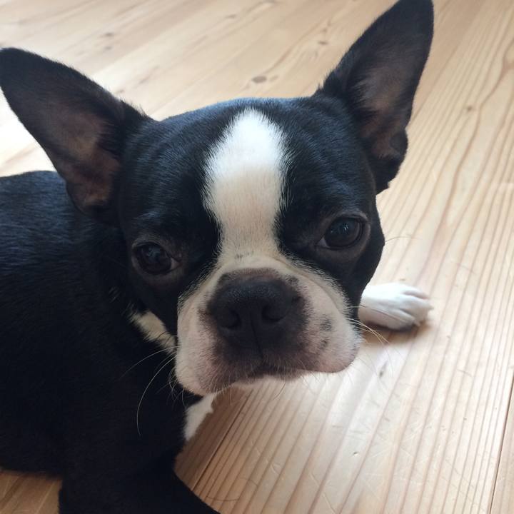 092d1417 e9a2 4fe2 8ab9 25758eda2913