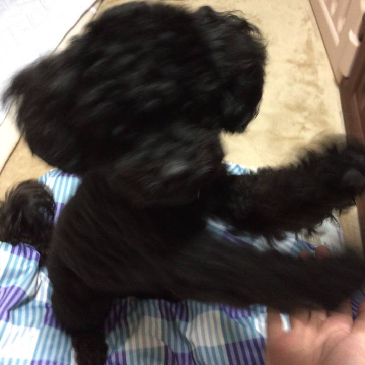 092d7bd0 29d7 4062 9f40 bd137988a3c8