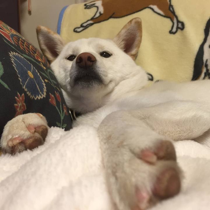 092d8754 2d62 4d7a a9a4 71c47c997e6e