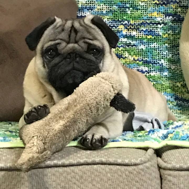 092dae57 0fbb 44a7 9e6b f4d4f684362b