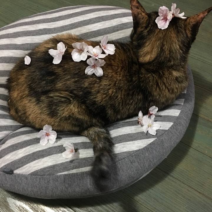 092e0952 fa1d 4ca3 93d7 90c7a75f5739