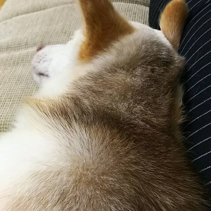 092e72a6 4b4a 4ff8 84b1 14074b6ba829