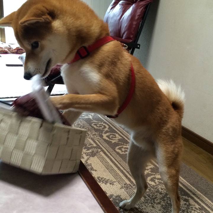 092ee78e ee23 4e09 acf9 00d550c64d9f