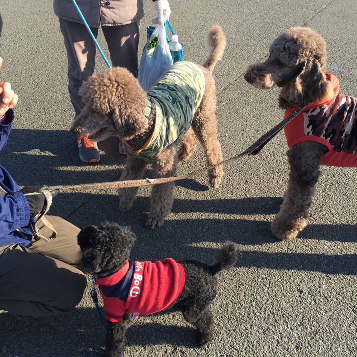 092f2a19 d608 4251 8870 d70313db2eb9