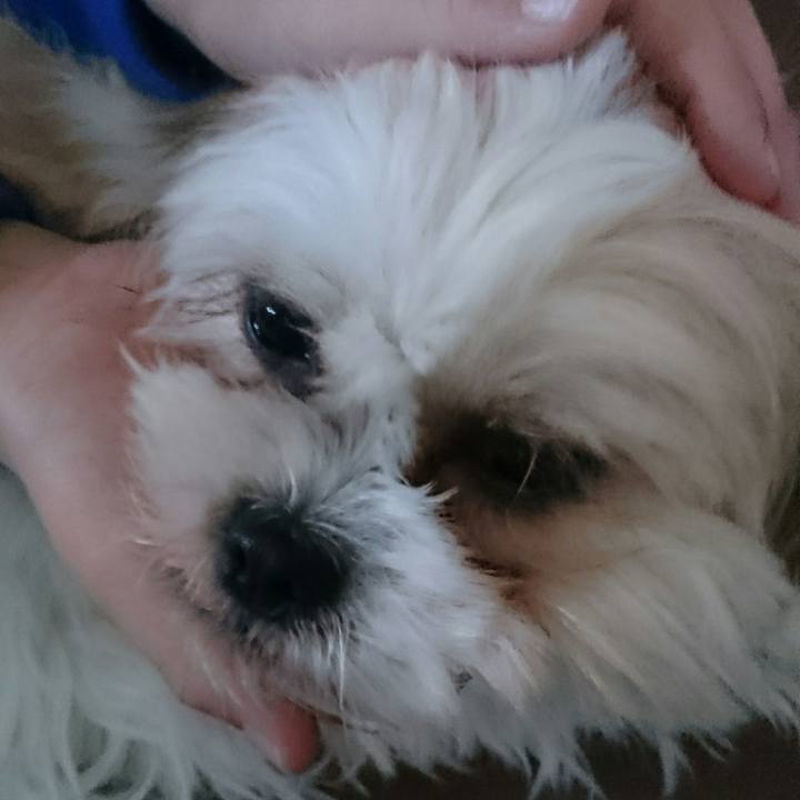 092fb0ea 1a62 434d 8f95 544dad035696