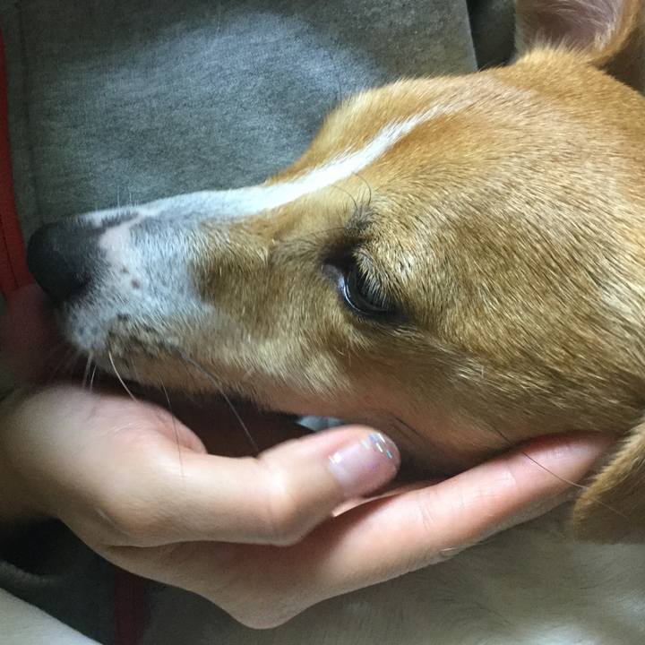 092fb730 c6db 4f0f 8b68 cb1fd5825e78