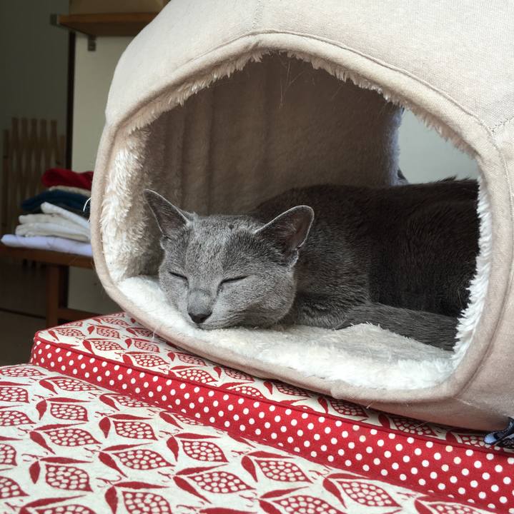 0930852c 8d26 4d9f 9ede 1701d480699b