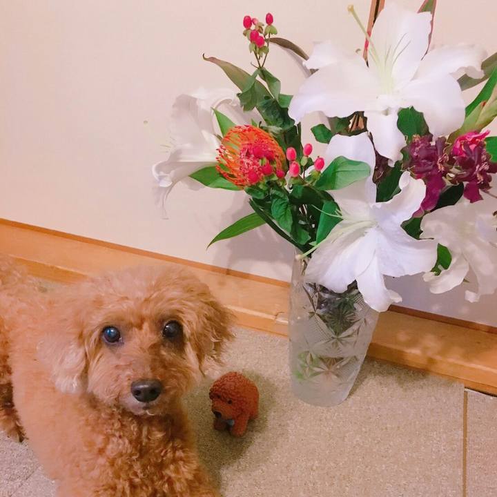 0930ad1a d095 452b 8555 7ecb77a7b09d