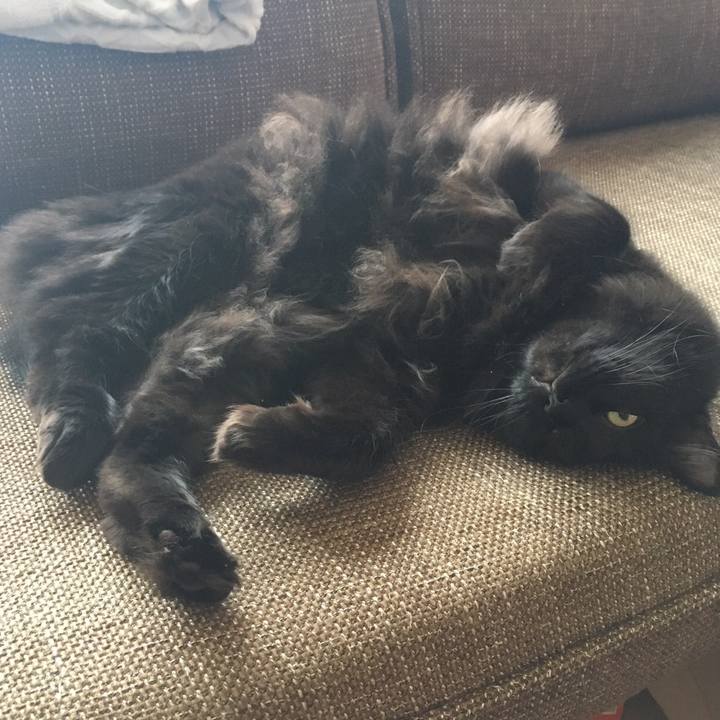 0930ad99 f638 4d5f a0b8 21bf395a0252