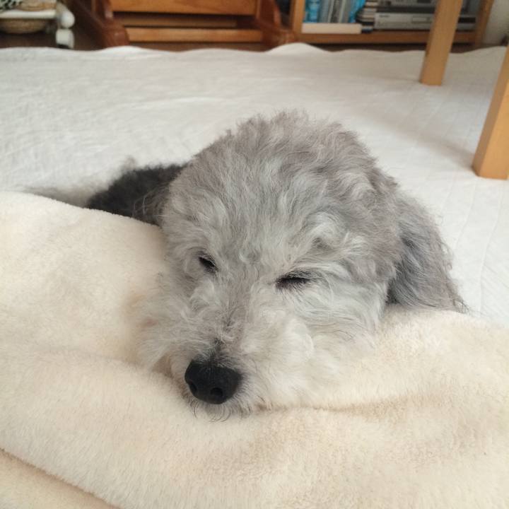 0930bc42 867c 4766 8d16 34bf3907e497