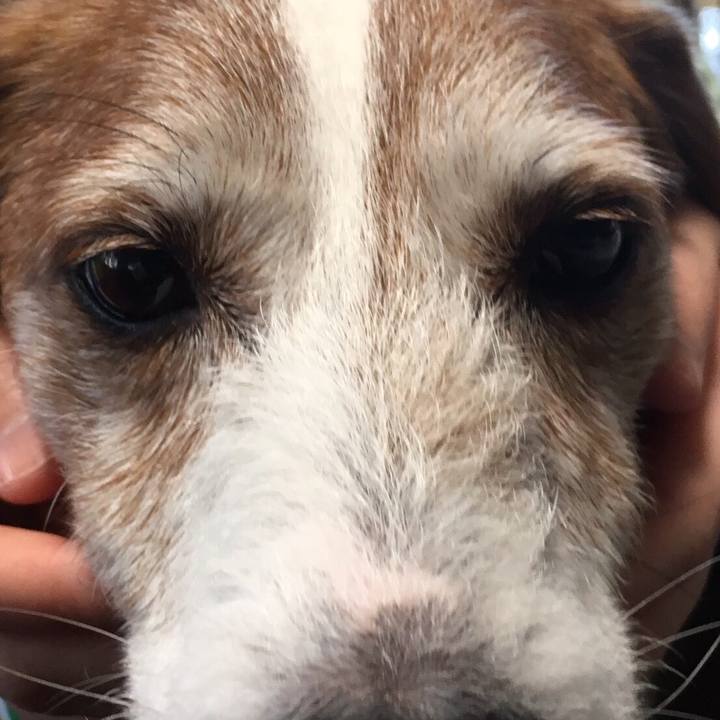 0931d66f c961 4b6c abd3 54fecbacfc00