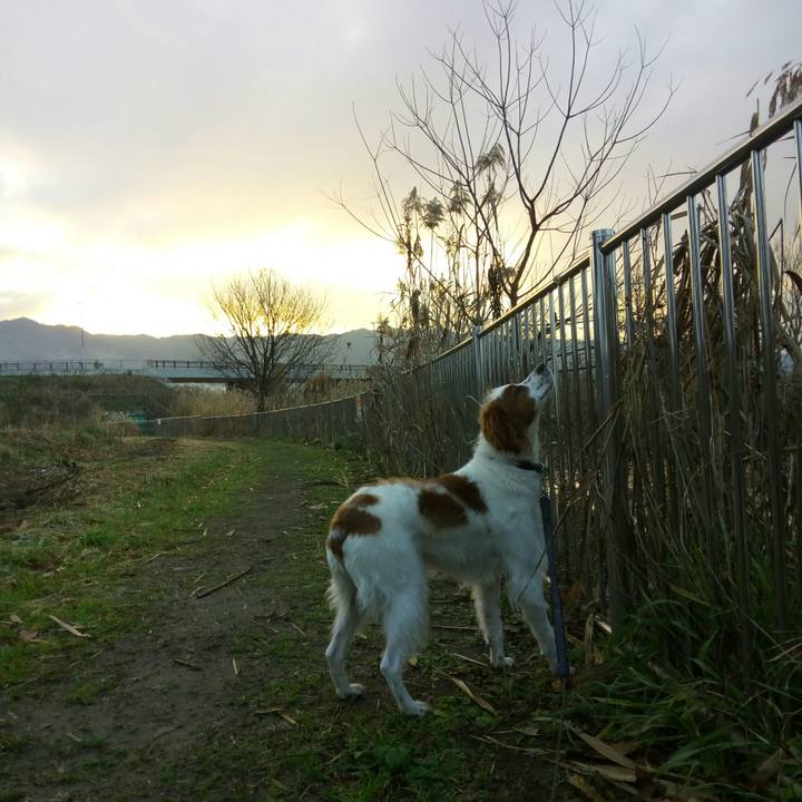 0932b0dc 70be 47c2 be8c fab3914f4130