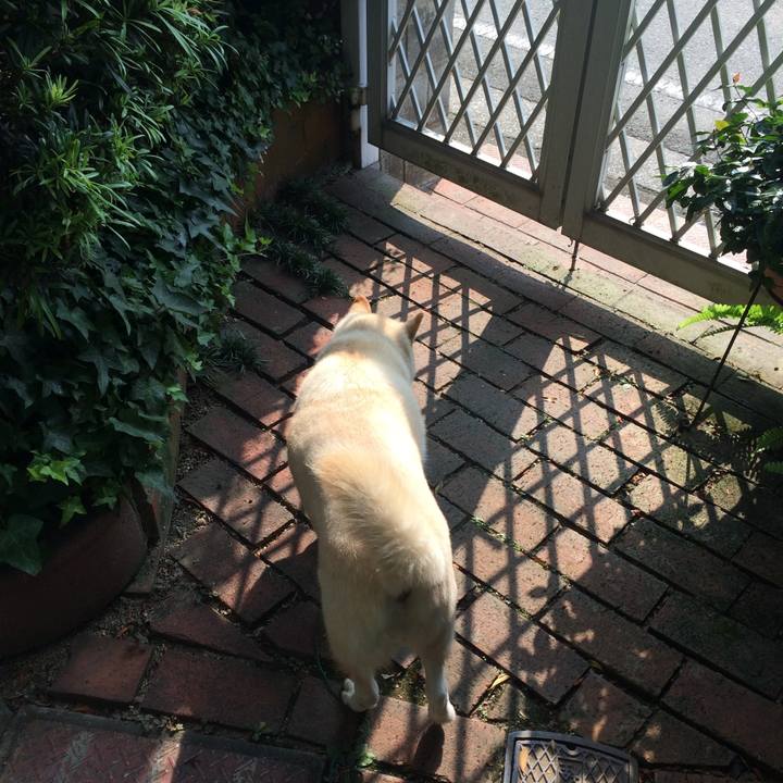 0932fd80 e0e8 4085 b67c ed80b45efff5