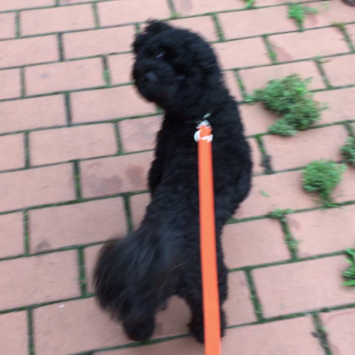 0933bcb4 ebfb 4642 97e6 3a1a0dc212f4