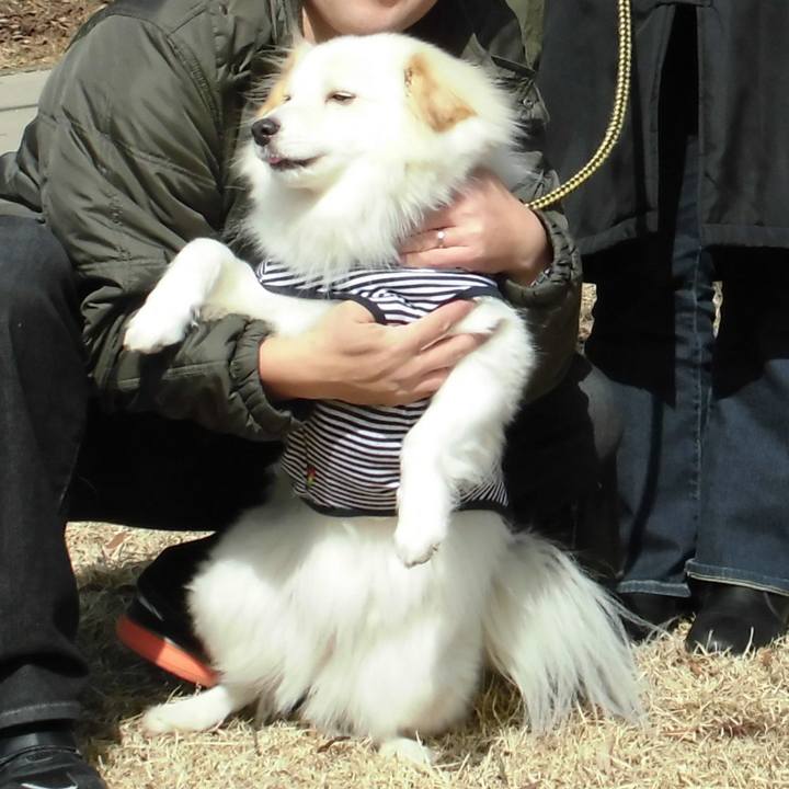 0934435b f760 4b05 b39a b87e7ae2254e