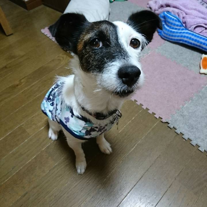 09353e05 b891 44cd 9233 867e26cac1ec