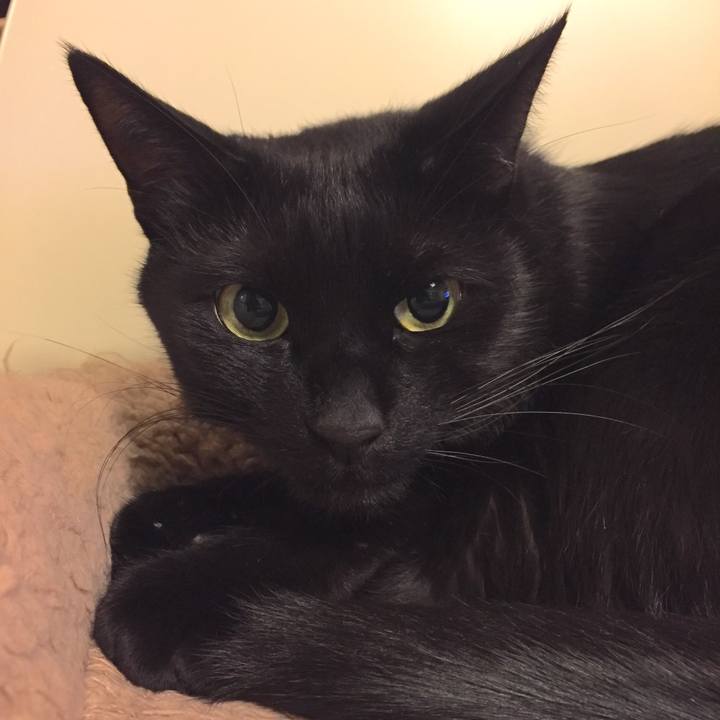 0935bc9f 69e4 403e ace2 e70e2c254bc0